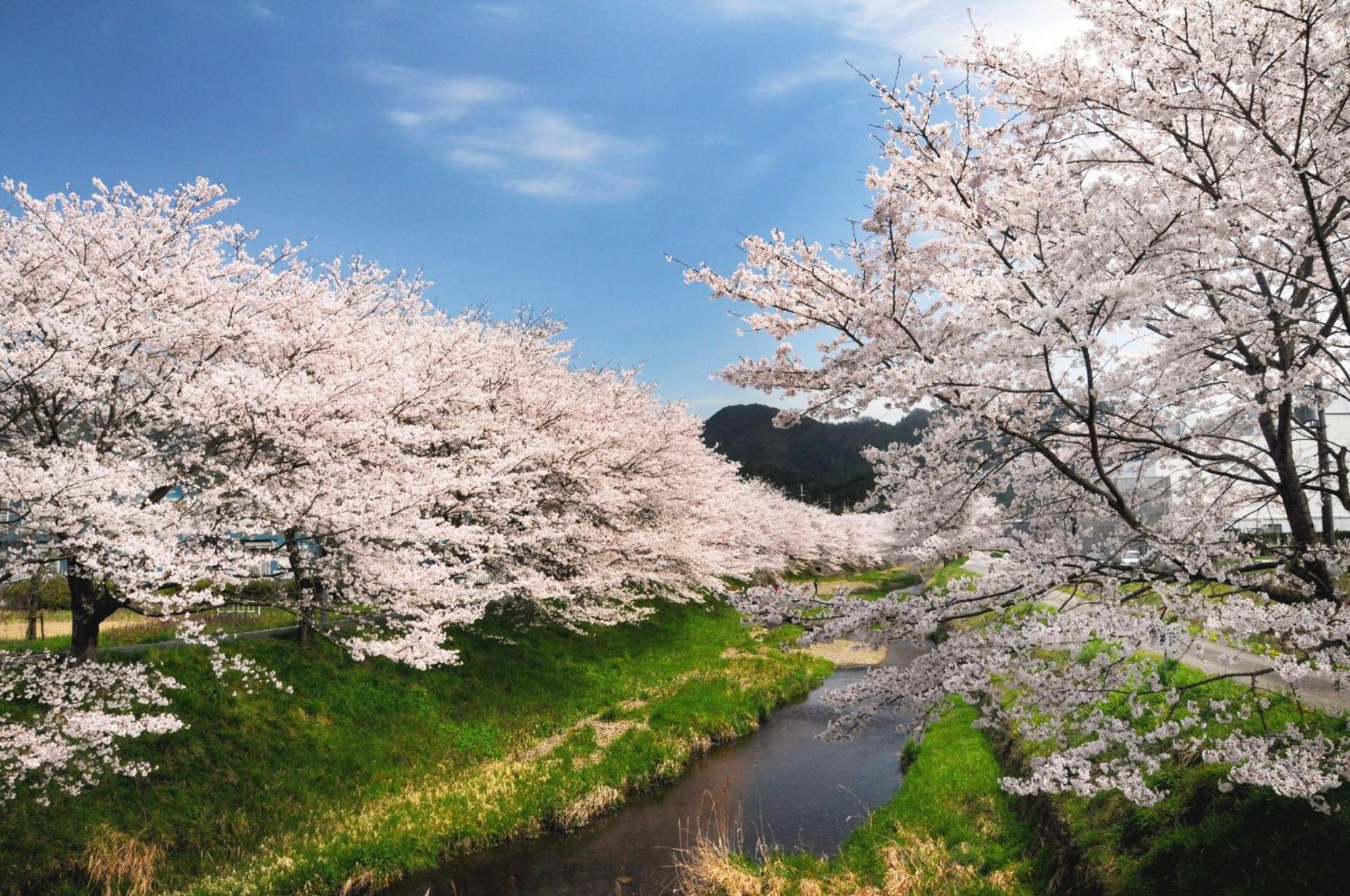 Satoyama Hotel Kanenone Tamba Майбара Экстерьер фото