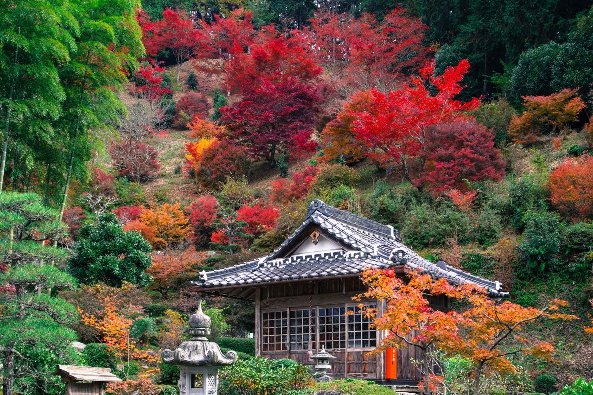 Satoyama Hotel Kanenone Tamba Майбара Экстерьер фото