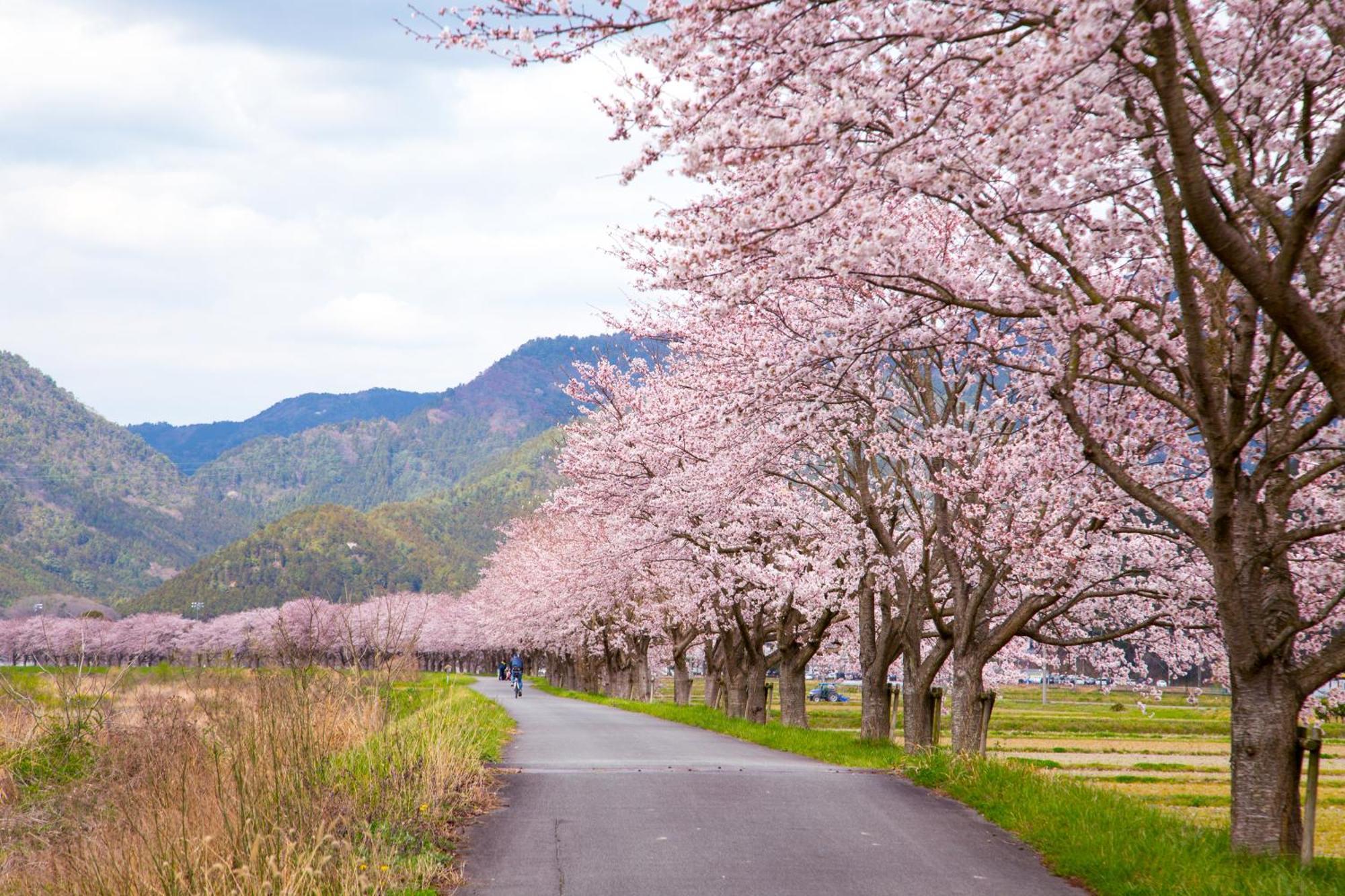Satoyama Hotel Kanenone Tamba Майбара Экстерьер фото